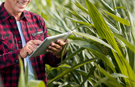 Projetos na área do Agronegócio
